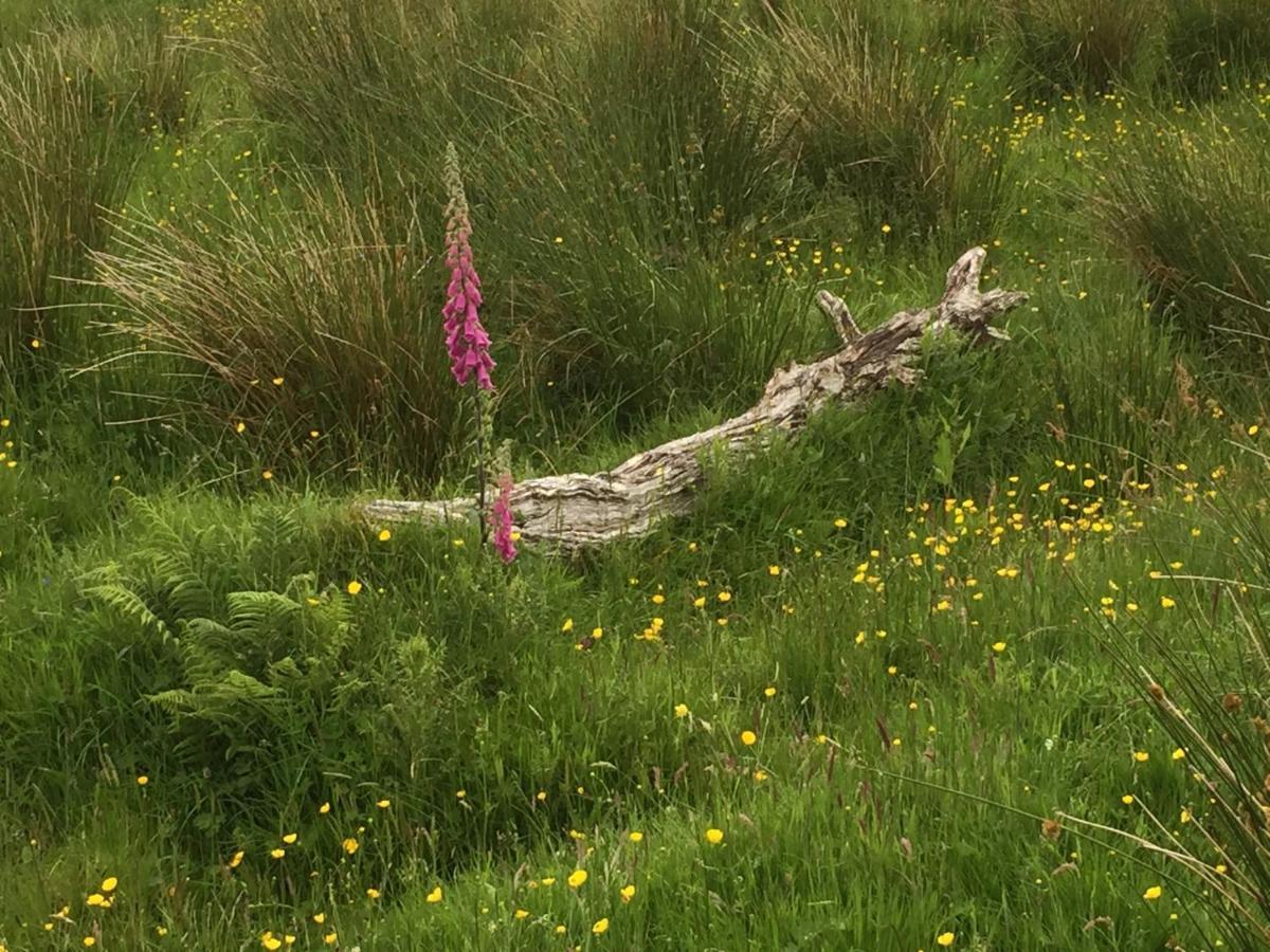 Boisdale House B&B, Portree Dış mekan fotoğraf